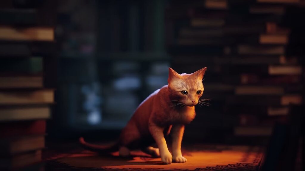 Stray
